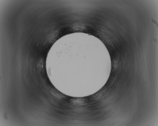 X0000096960567200803071053