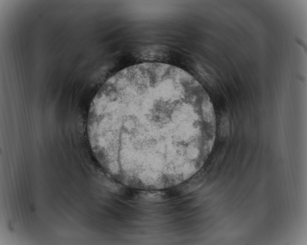 X0000096960569200803071053