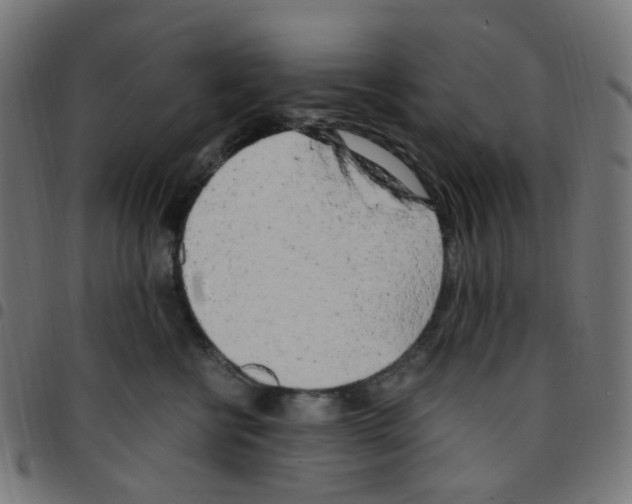 X0000096960570200803071053