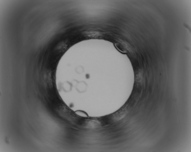 X0000096960572200803071053