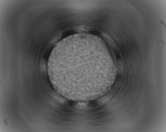 X0000096960573200803071054