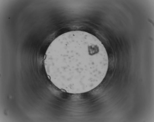 X0000096960574200803071054