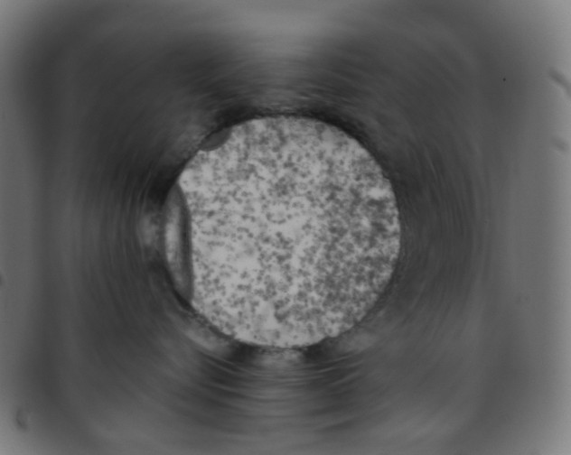 X0000096960576200803071054