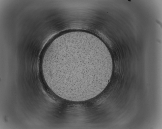 X0000096960580200803071053