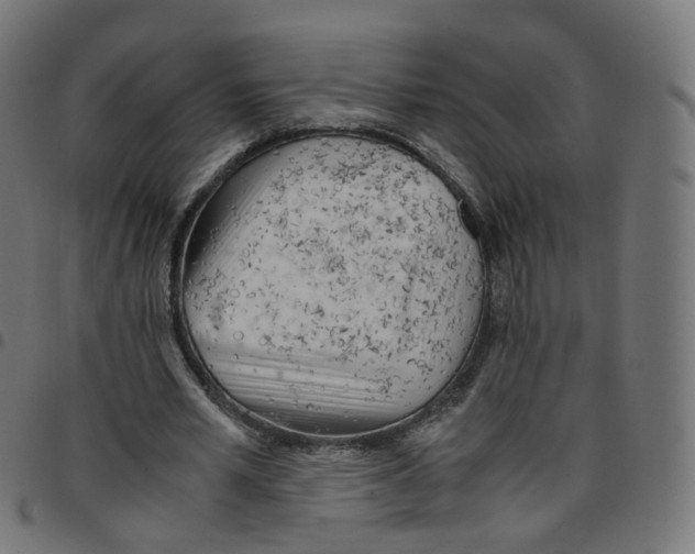 X0000096960581200803071053