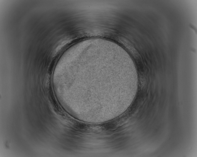 X0000096960583200803071053