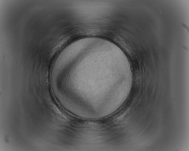 X0000096960585200803071053