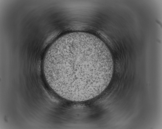 X0000096960586200803071053