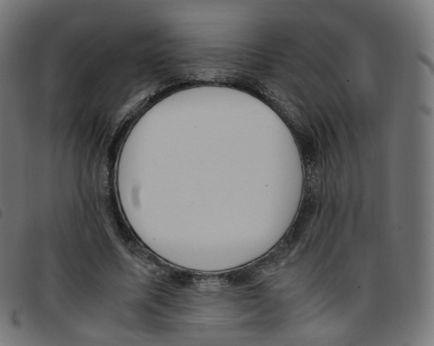 X0000096960587200803071053