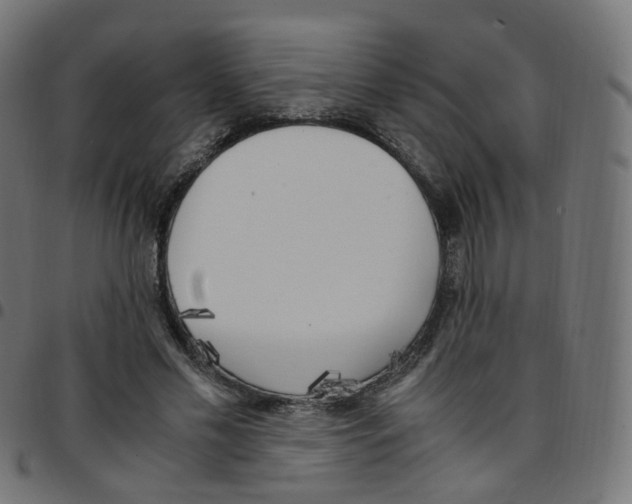 X0000096960589200803071053