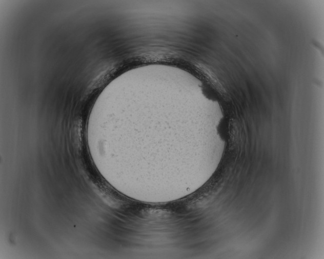 X0000096960590200803071053