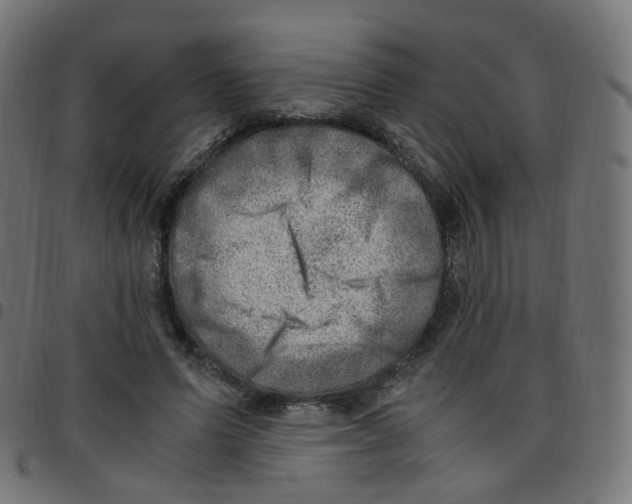 X0000096960591200803071053