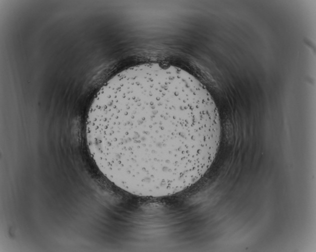 X0000096960594200803071053