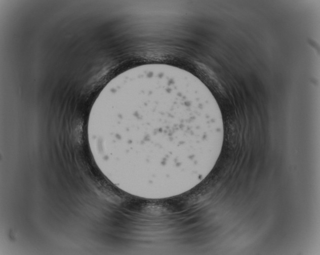 X0000096960596200803071053