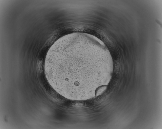 X0000096960598200803071053