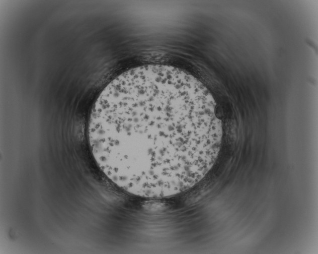 X0000096960602200803071053