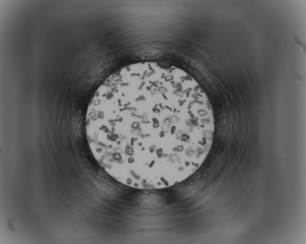 X0000096960604200803071053