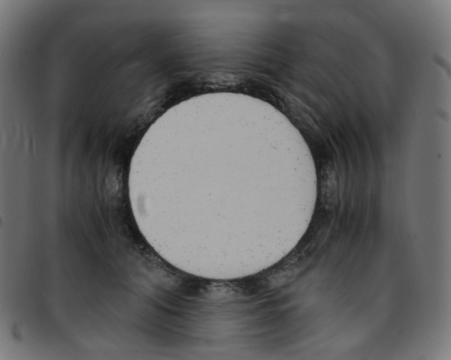 X0000096960608200803071052