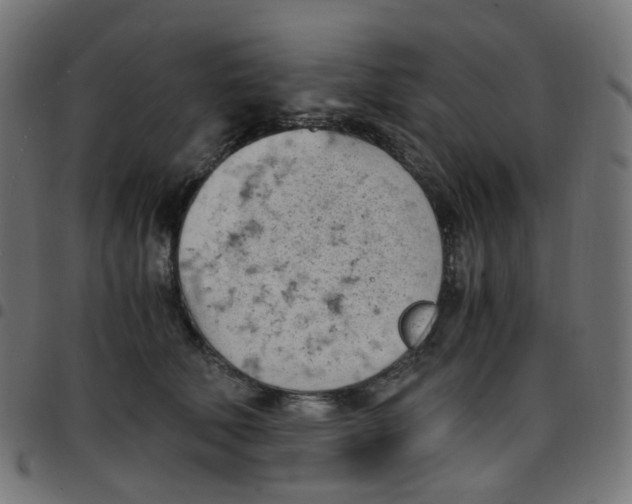 X0000096960610200803071052