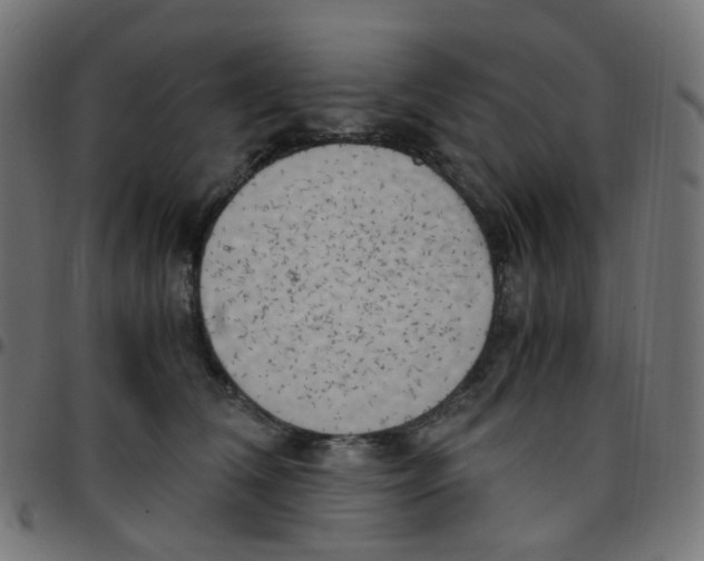 X0000096960612200803071052