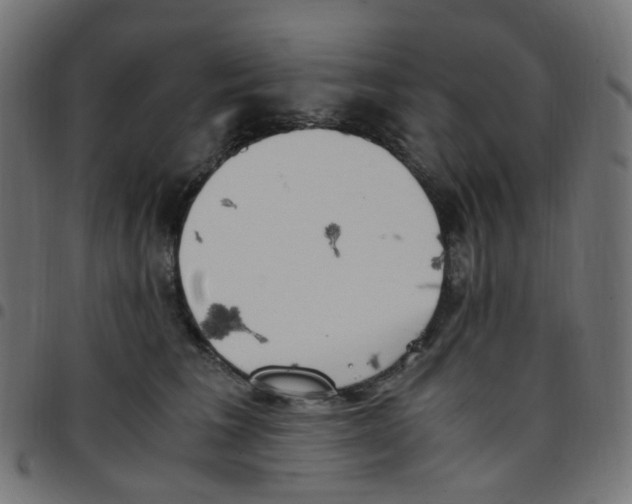 X0000096960613200803071052