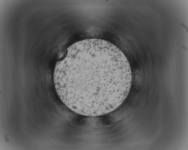 X0000096960615200803071052