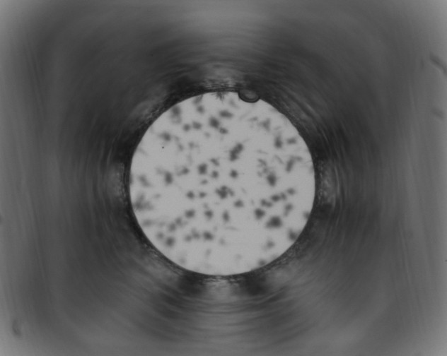 X0000096960616200803071052