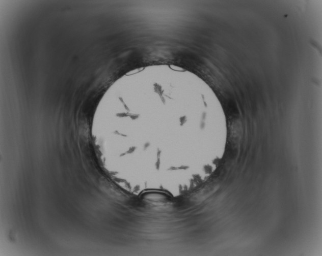 X0000096960617200803071052