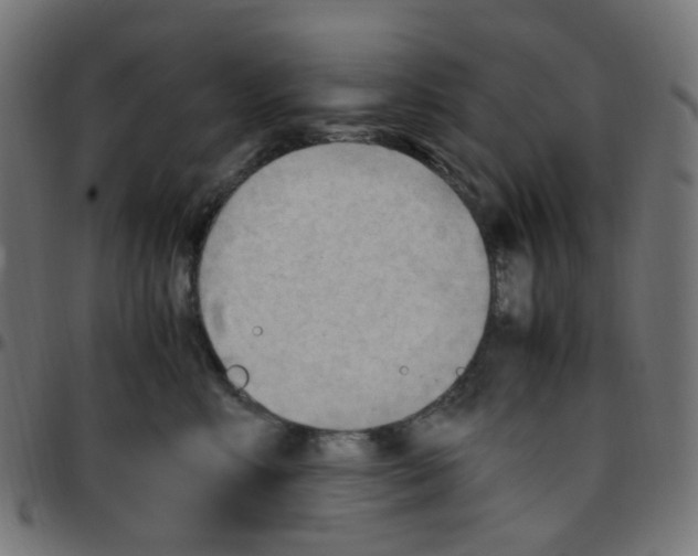 X0000096960618200803071052