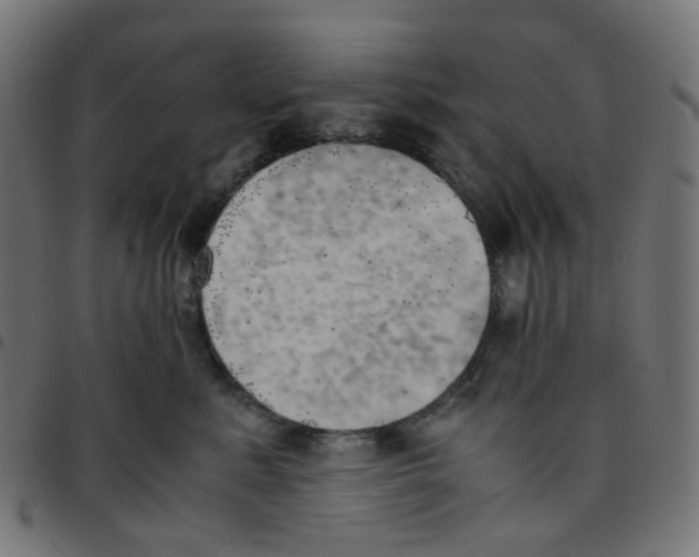 X0000096960619200803071052