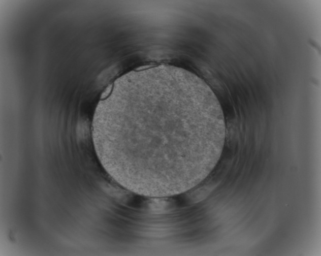 X0000096960623200803071052