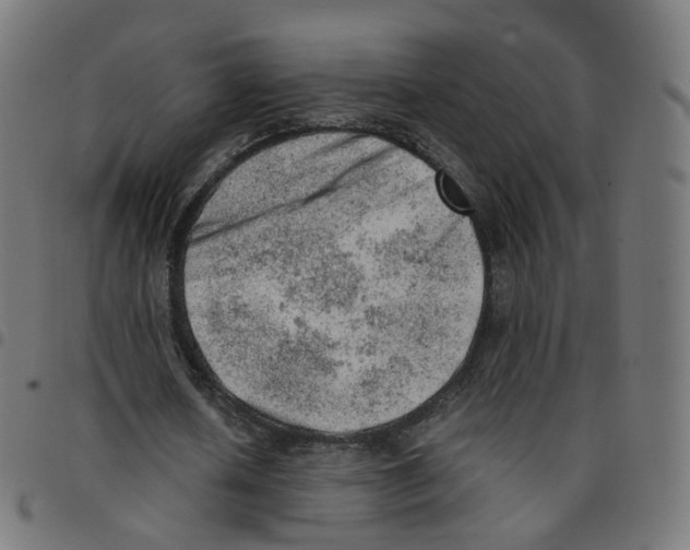 X0000096960626200803071052