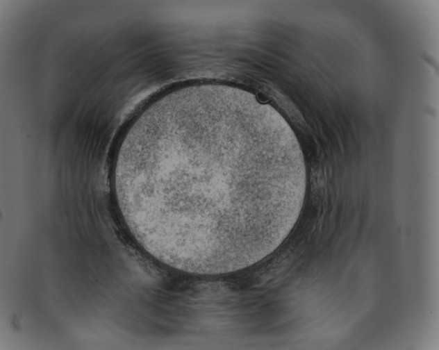 X0000096960628200803071052