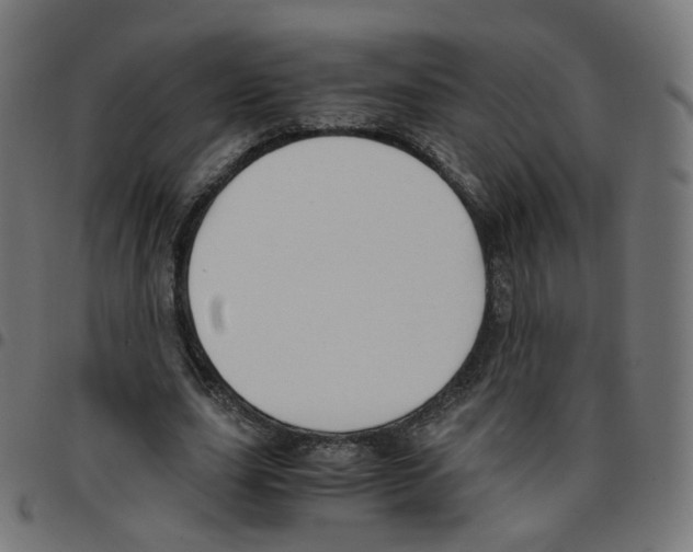 X0000096960631200803071052