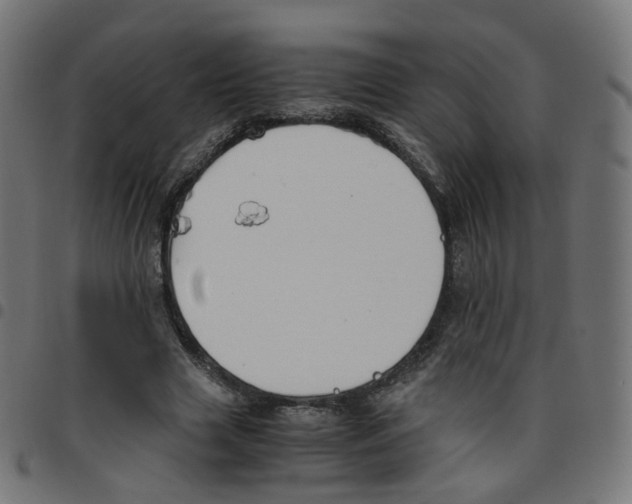 X0000096960633200803071052