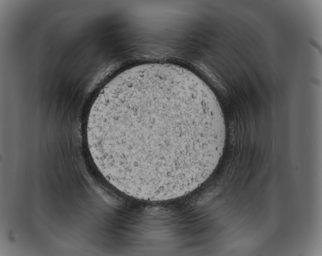 X0000096960634200803071052