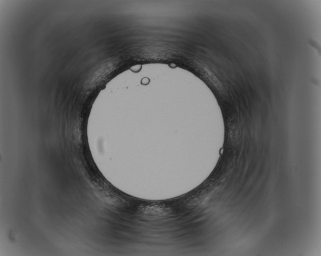 X0000096960635200803071052