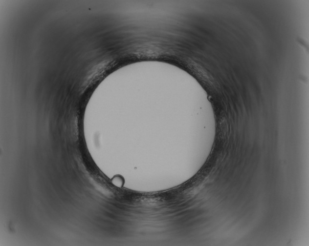 X0000096960638200803071052