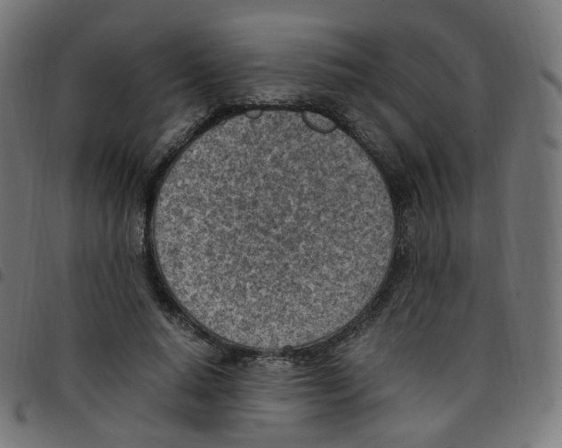 X0000096960640200803071052