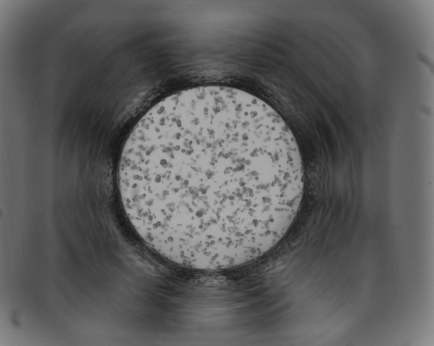 X0000096960642200803071052