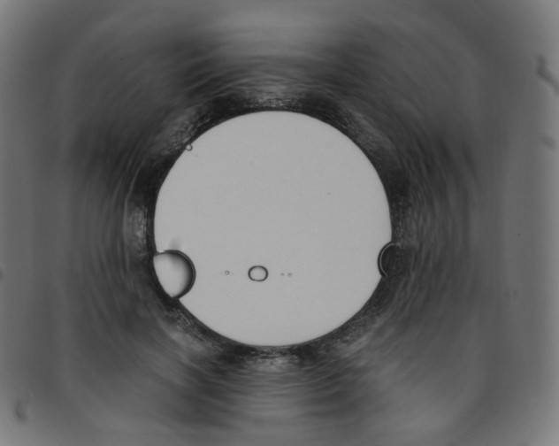 X0000096960646200803071052