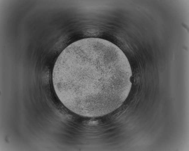 X0000096960647200803071052