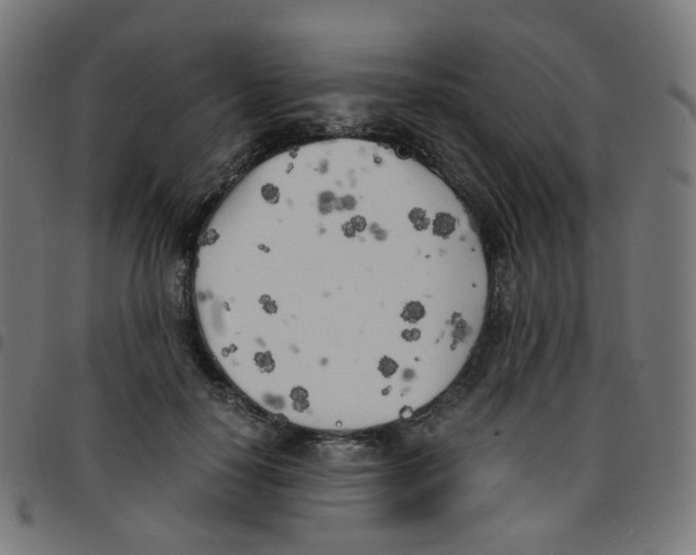 X0000096960650200803071052