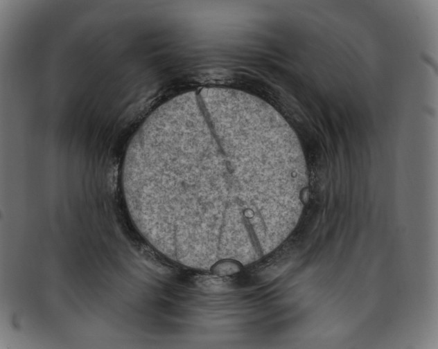 X0000096960652200803071052