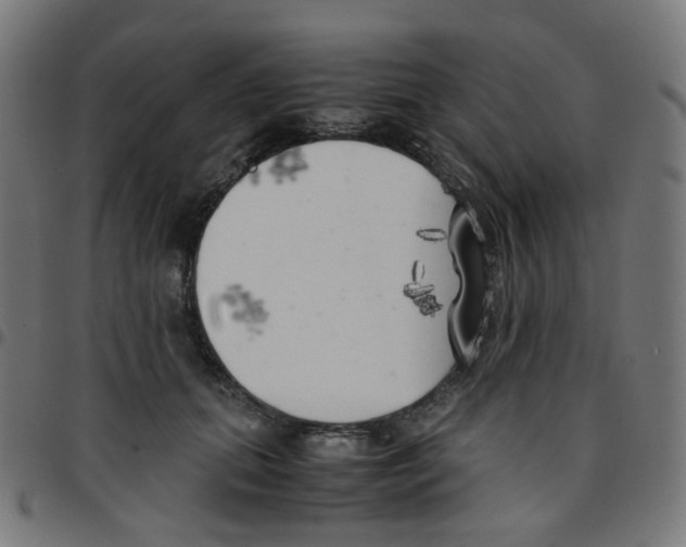 X0000096960655200803071052