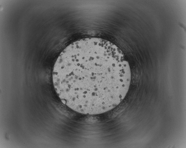 X0000096960656200803071052