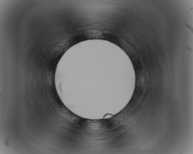 X0000096960658200803071052