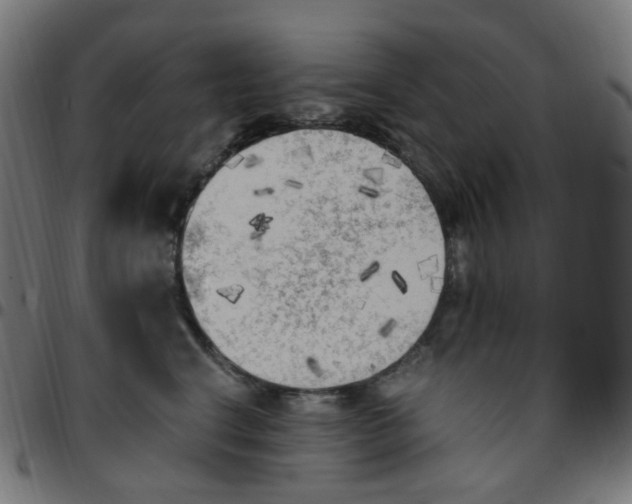 X0000096960664200803071052