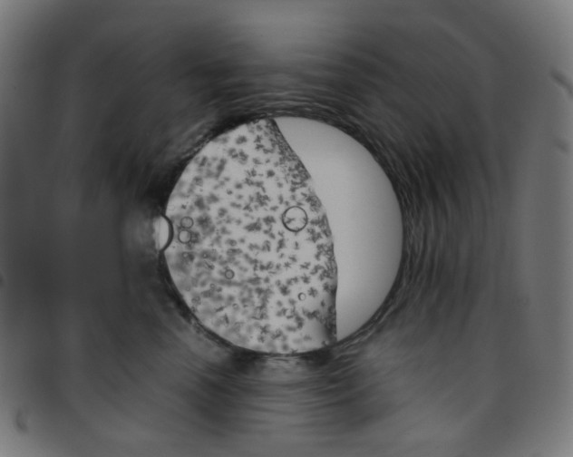 X0000096960666200803071052