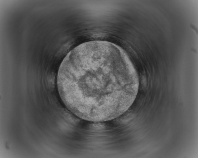 X0000096960668200803071052